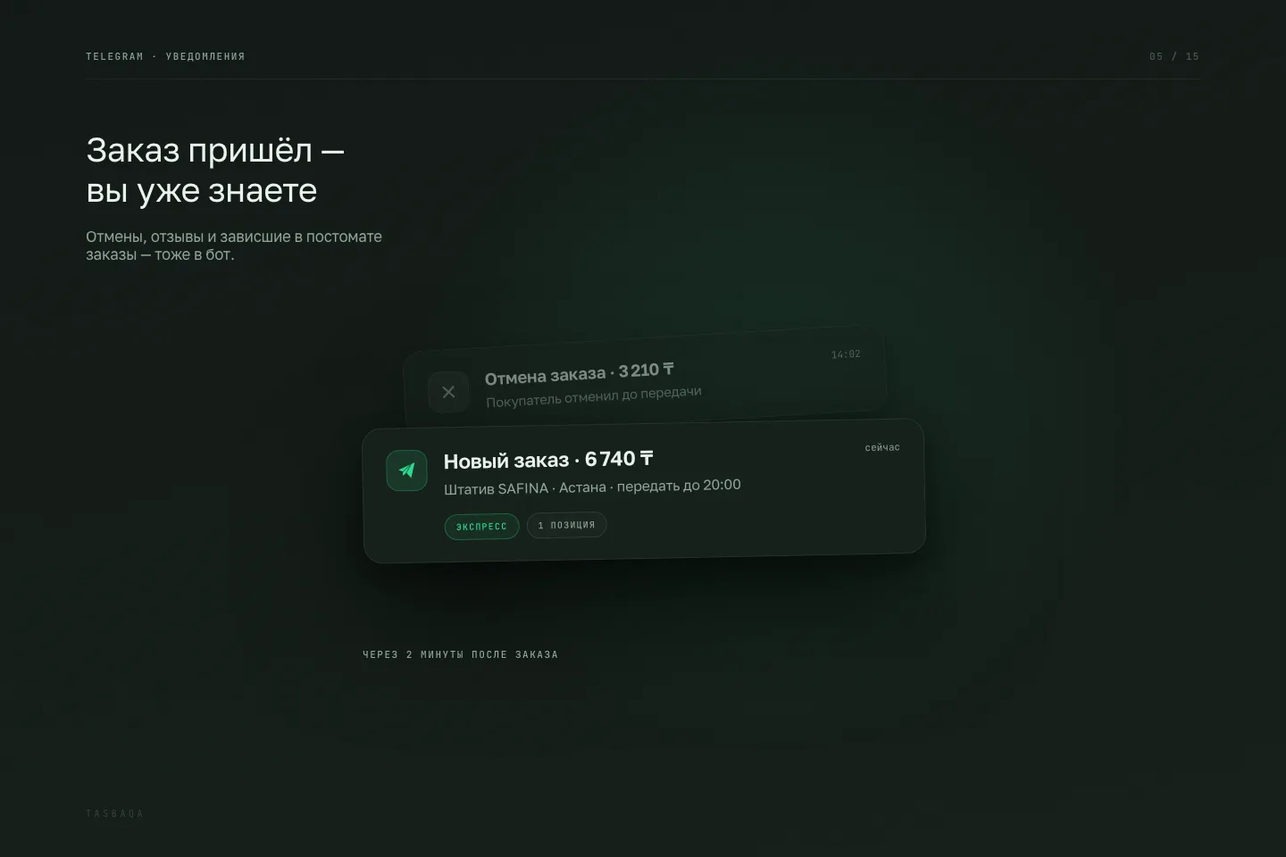 Экран Tasbaqa: Telegram-бот и «Упаковка»